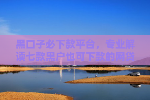 黑口子必下款平台，专业解读七款黑户也可下款的网贷