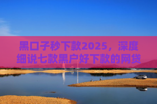 黑口子秒下款2025，深度细说七款黑户好下款的网贷平台