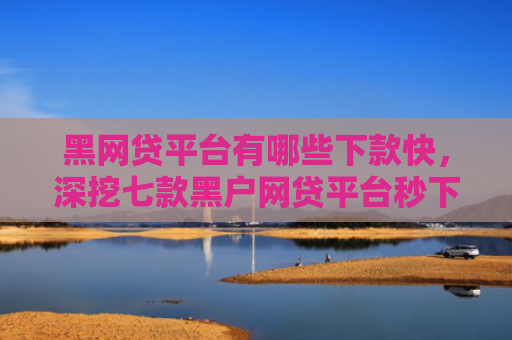 黑网贷平台有哪些下款快，深挖七款黑户网贷平台秒下款评论
