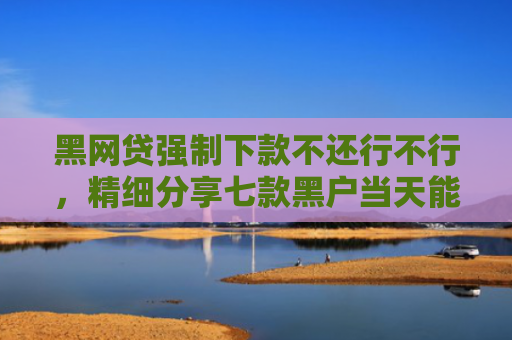 黑网贷强制下款不还行不行，精细分享七款黑户当天能下款的网贷