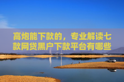 高炮能下款的，专业解读七款网贷黑户下款平台有哪些