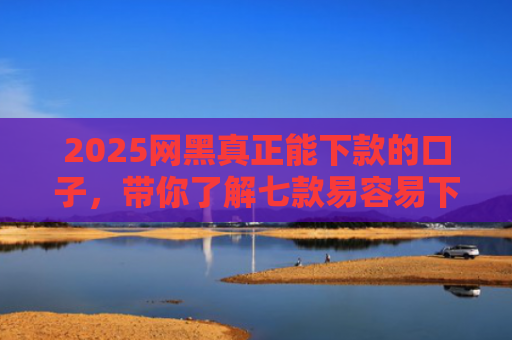 2025网黑真正能下款的口子，带你了解七款易容易下款的网贷口子