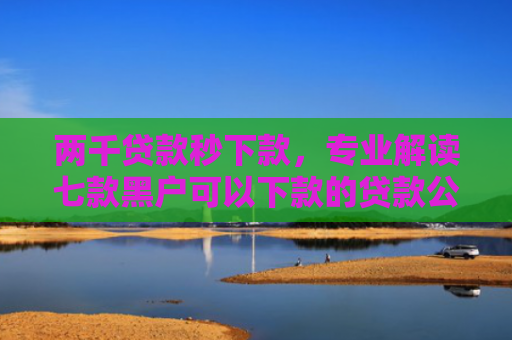 两千贷款秒下款，专业解读七款黑户可以下款的贷款公司