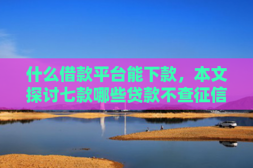 什么借款平台能下款，本文探讨七款哪些贷款不查征信好下款