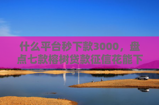 什么平台秒下款3000，盘点七款榕树贷款征信花能下款吗