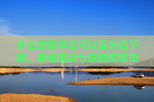 什么贷款平台可以百分百下款，专业解读七款征信差贷款平台能下款吗