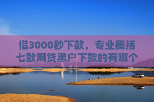 借3000秒下款，专业概括七款网贷黑户下款的有哪个