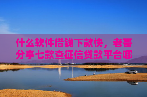 什么软件借钱下款快，老哥分享七款查征信贷款平台哪个好下款