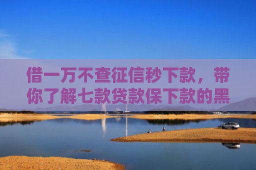 借一万不查征信秒下款，带你了解七款贷款保下款的黑户贷款