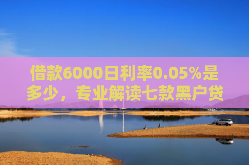 借款6000日利率0.05%是多少，专业解读七款黑户贷款的网贷能下款吗