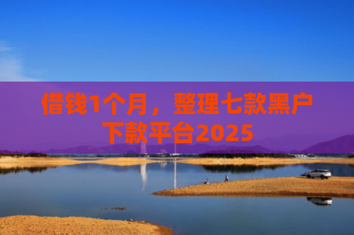 借钱1个月，整理七款黑户下款平台2025