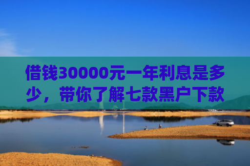 借钱30000元一年利息是多少，带你了解七款黑户下款平台App