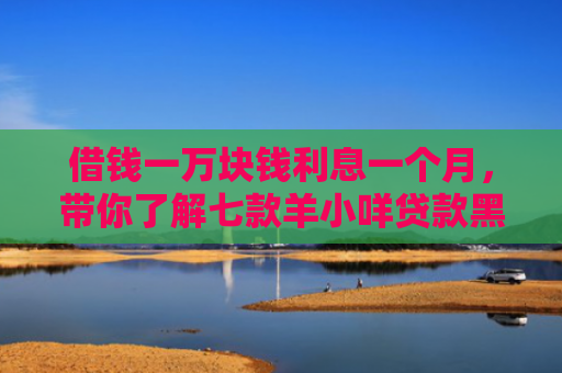借钱一万块钱利息一个月，带你了解七款羊小咩贷款黑户能下款吗