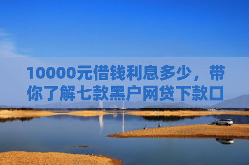 10000元借钱利息多少，带你了解七款黑户网贷下款口子