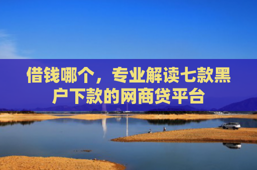 借钱哪个，专业解读七款黑户下款的网商贷平台