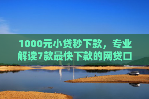 1000元小贷秒下款，专业解读7款最快下款的网贷口子