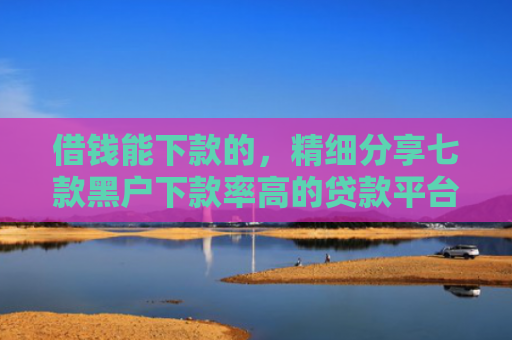 借钱能下款的，精细分享七款黑户下款率高的贷款平台