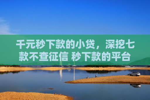 千元秒下款的小贷，深挖七款不查征信 秒下款的平台