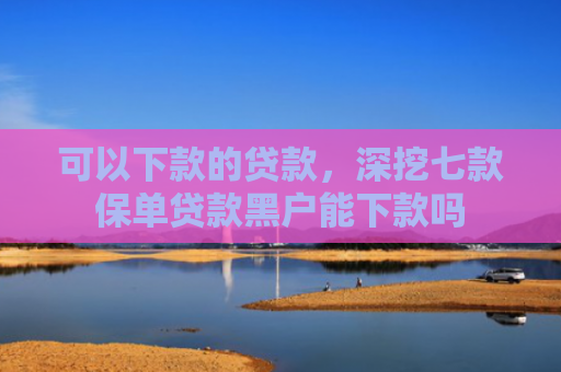 可以下款的贷款，深挖七款保单贷款黑户能下款吗