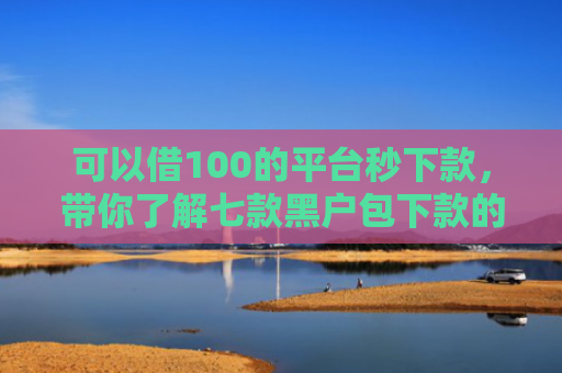 可以借100的平台秒下款，带你了解七款黑户包下款的贷款口子