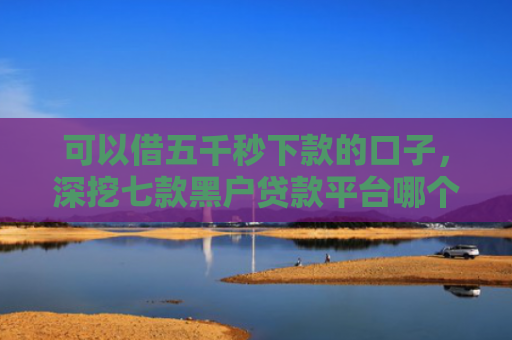 可以借五千秒下款的口子，深挖七款黑户贷款平台哪个好下款