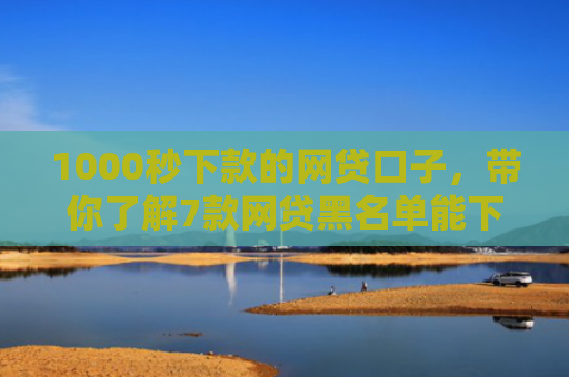 1000秒下款的网贷口子，带你了解7款网贷黑名单能下款的口子