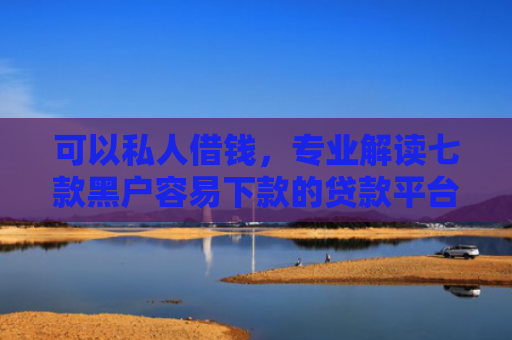 可以私人借钱，专业解读七款黑户容易下款的贷款平台