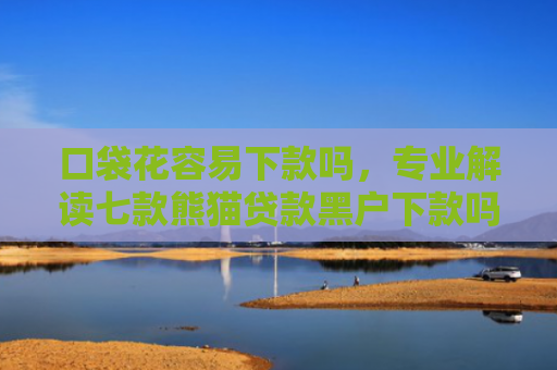 口袋花容易下款吗，专业解读七款熊猫贷款黑户下款吗