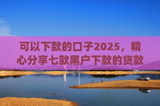 可以下款的口子2025，精心分享七款黑户下款的贷款app