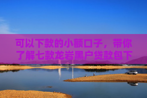 可以下款的小额口子，带你了解七款龙岩黑户贷款包下款的