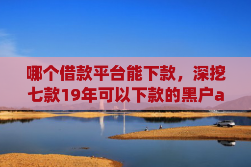 哪个借款平台能下款，深挖七款19年可以下款的黑户app