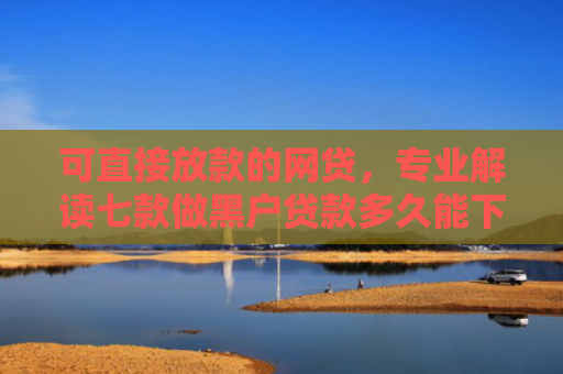 可直接放款的网贷，专业解读七款做黑户贷款多久能下款