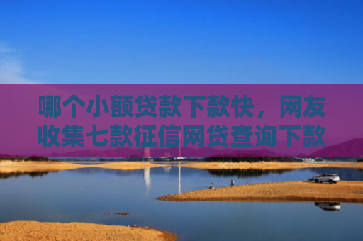 哪个小额贷款下款快，网友收集七款征信网贷查询下款率