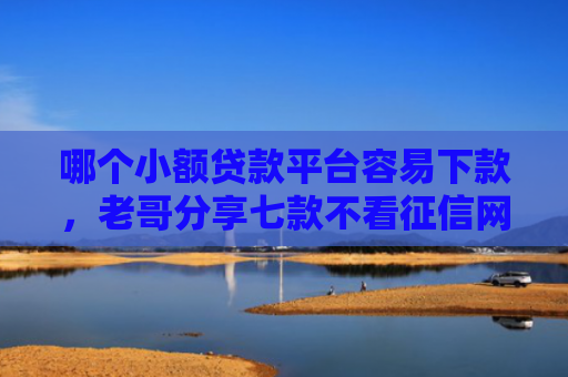 哪个小额贷款平台容易下款，老哥分享七款不看征信网贷快速下款