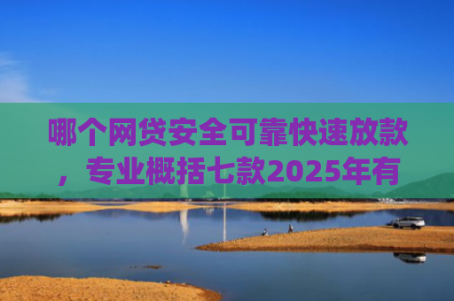 哪个网贷安全可靠快速放款，专业概括七款2025年有黑户下款的app吗
