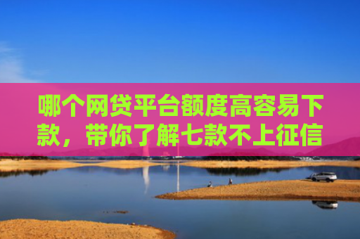 哪个网贷平台额度高容易下款，带你了解七款不上征信下款快的网贷