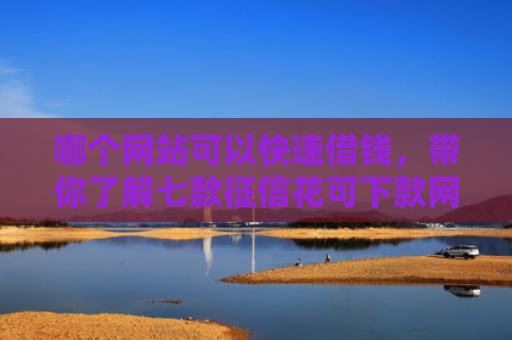 哪个网站可以快速借钱，带你了解七款征信花可下款网贷