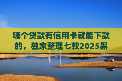 哪个贷款有信用卡就能下款的，独家整理七款2025黑户夜间秒下款的App