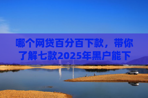 哪个网贷百分百下款，带你了解七款2025年黑户能下款的小额贷款app