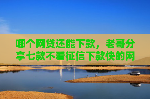 哪个网贷还能下款，老哥分享七款不看征信下款快的网贷