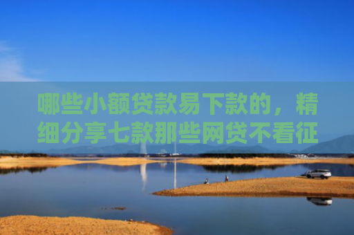 哪些小额贷款易下款的，精细分享七款那些网贷不看征信下款快