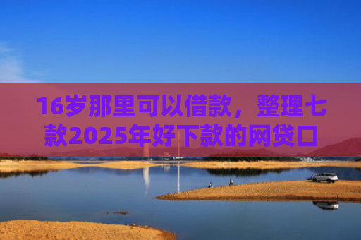 16岁那里可以借款，整理七款2025年好下款的网贷口子