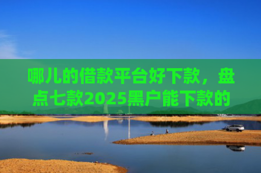 哪儿的借款平台好下款，盘点七款2025黑户能下款的网贷app哪些好下款