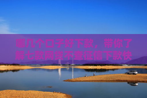 哪几个口子好下款，带你了解七款网贷不查征信下款快