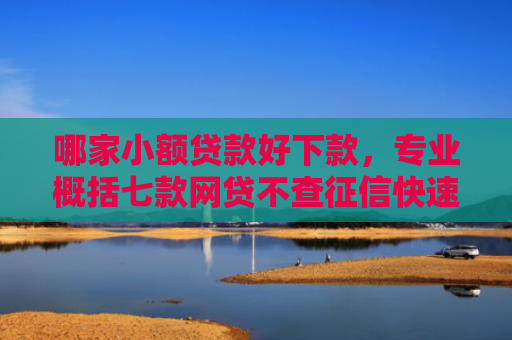哪家小额贷款好下款，专业概括七款网贷不查征信快速下款