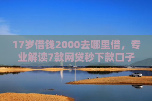 17岁借钱2000去哪里借，专业解读7款网贷秒下款口子