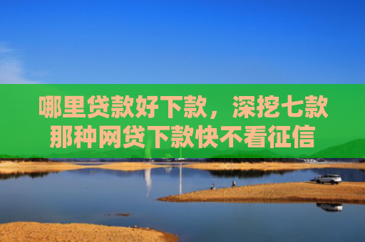 哪里贷款好下款，深挖七款那种网贷下款快不看征信