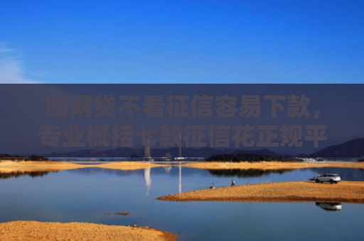 啥网贷不看征信容易下款，专业概括七款征信花正规平台能下款吗