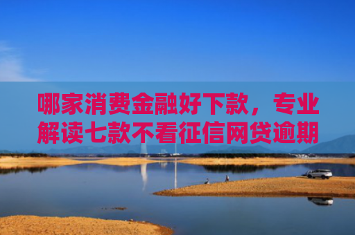 哪家消费金融好下款，专业解读七款不看征信网贷逾期下款