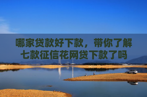 哪家贷款好下款，带你了解七款征信花网贷下款了吗